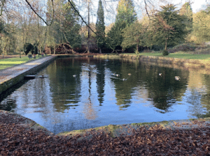 Witton Country Park