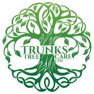 Trunks Tree Care